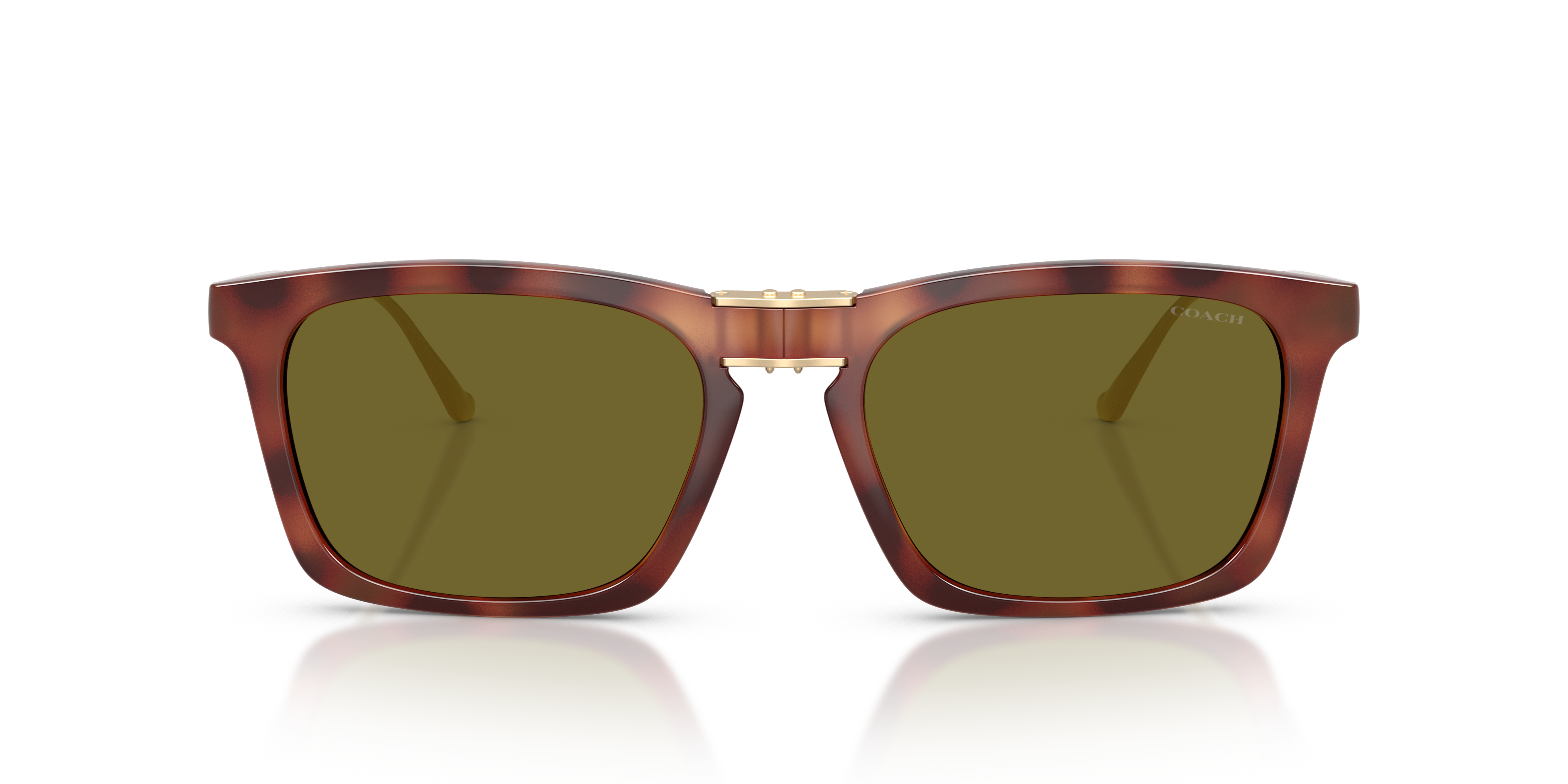 Coach HC8455 5774/2 Cdp54 